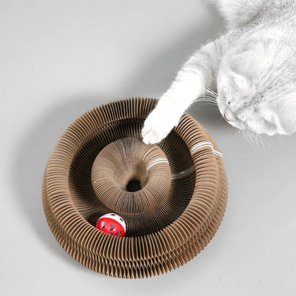 PurrfectScratch Magic Organ Cat Scratching Board – Interactive Claw Grinder & Fun Toy for Cats
